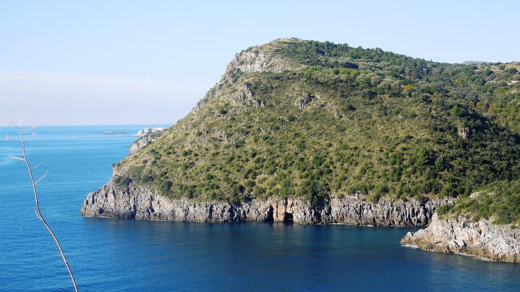 Delfino Hotel Marina di Camerota Kültér fotó